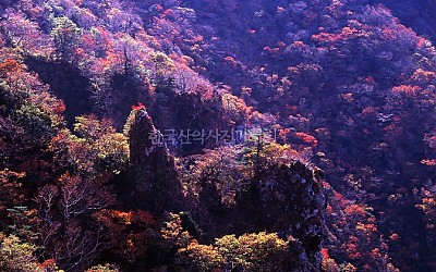 한라산