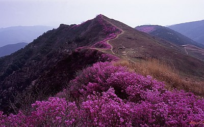 화왕산