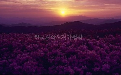 황매산