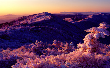 특별히 애착이 가는 사진...