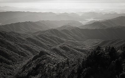 약속의 땅2
