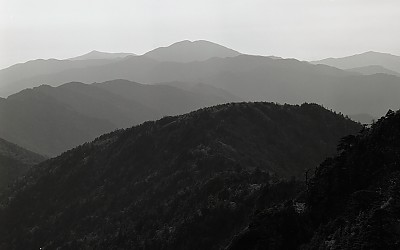 사랑스런 반야