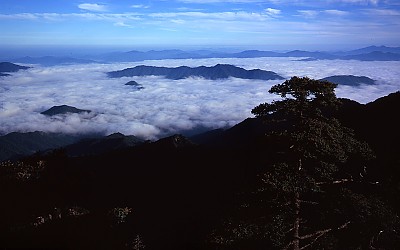 운해.