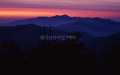 반야