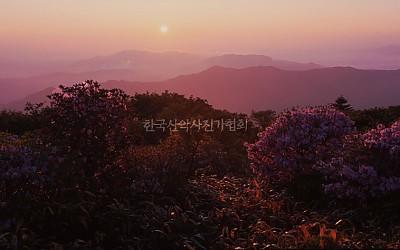 덕유산 철쭉과 일출