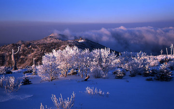 다시 겨울이 오면....