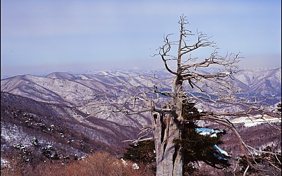 함백산