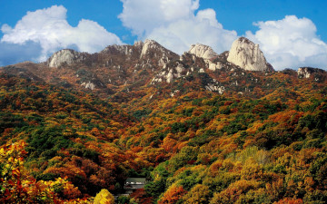북한산 단풍.실록 2컷