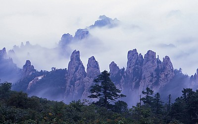 용아정성