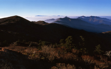 가을을 기다리며...