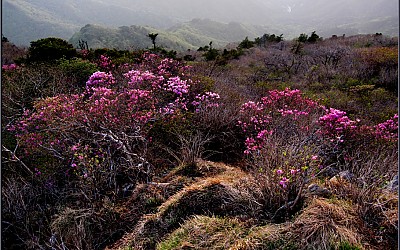 덕유산