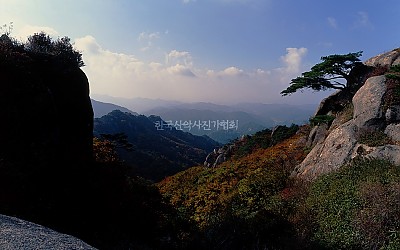 한달만에 현상했습니다.