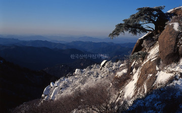 속리산에 바람불던날