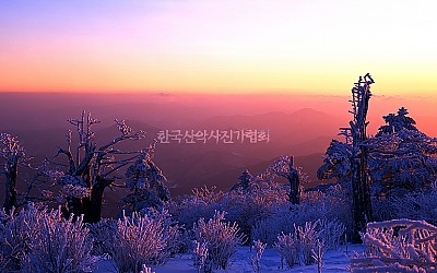 태백산에서~~