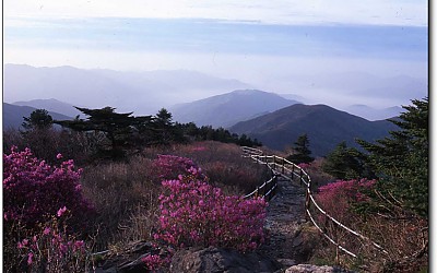 반야봉
