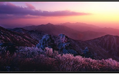 상고대가 반대로 붙었던날