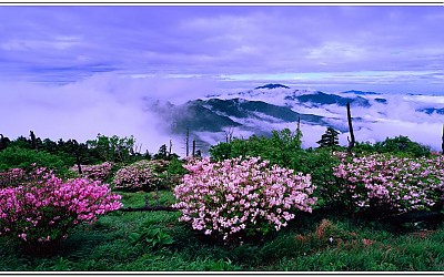 지리산 제석봉에서 ..