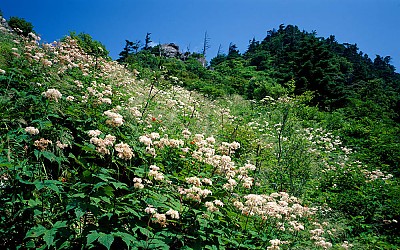 지리산의 여름