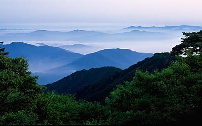 지리산의 봄