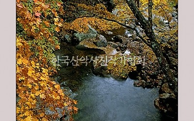 지리의 가을
