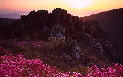 주작산