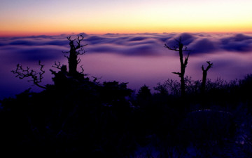 아침을 여는 덕유산