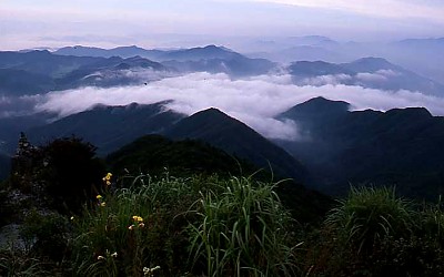 오도산에서