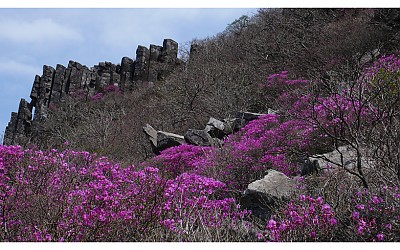 무등의 봄향기