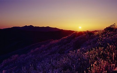 노고단-1