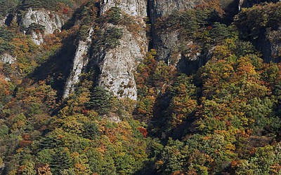 청량산 청량사의 가을
