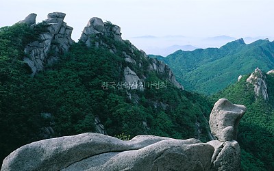 북한산 오리