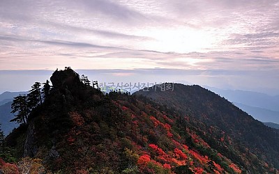 지리에 붙은 불은,,,