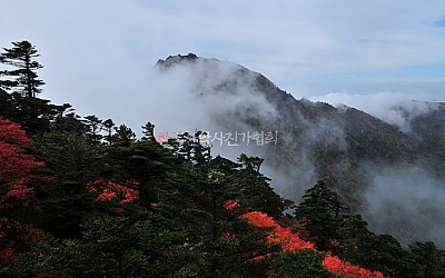 지리 중봉의 가을.