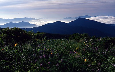 산 상 화원