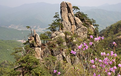 운악산의 봄