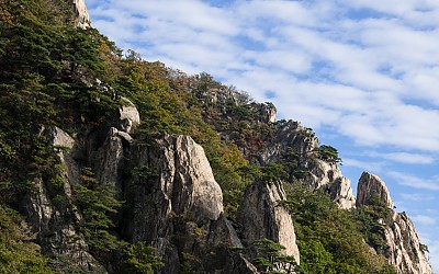 대둔산