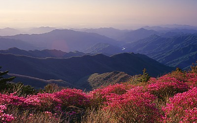 세석