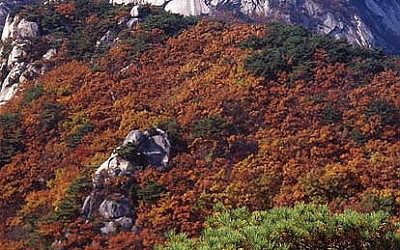 삼각산