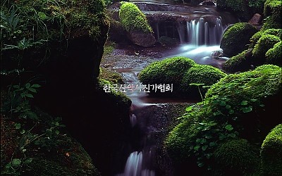 이끼계곡