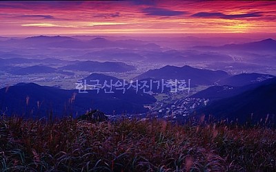 억새와 여명빛