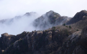 속리산의 빙화는 ....