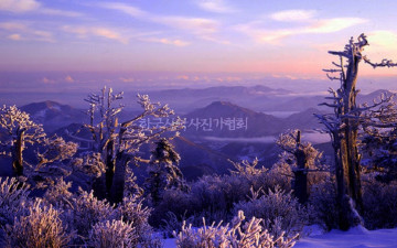 태백산 사진이 귀하길래