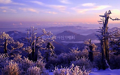 태백산 사진이 귀하길래