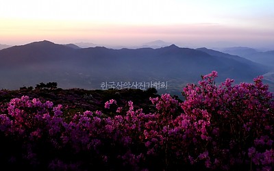 저 산 너머