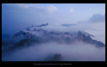 신선들이 산다는 곳.