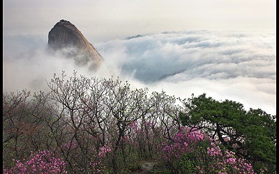 삼각산의 봄.
