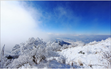 아침 저녁으로 빛보기 어렵고...