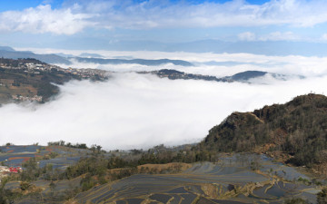 산정에서 보다.