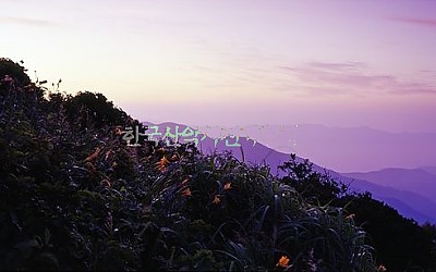 비싼샷!