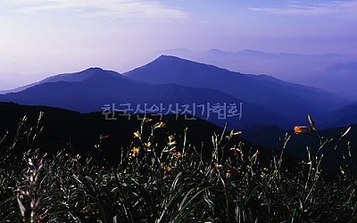 오기로 날린 샷!